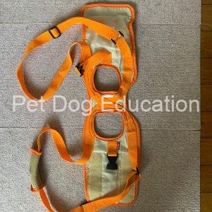 Petio Care Harness Hind Legs Outside