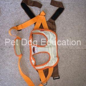 Petio Care Harness Front Legs Outside