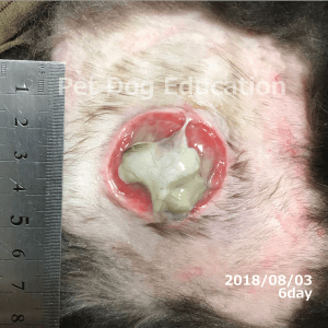 bedsores_20180803_6_k