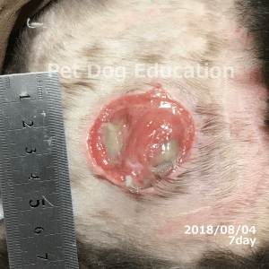 bedsores_20180804_7_k