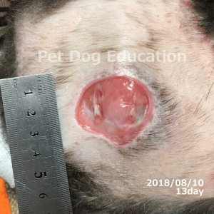 bedsores_20180810_13_k