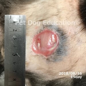 bedsores_20180816_19_k