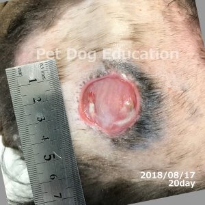 bedsores_20180817_20_k