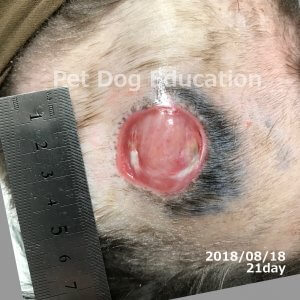 bedsores_20180818_21_k