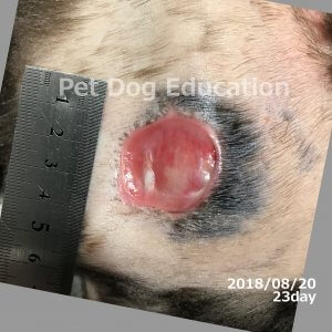 bedsores_20180820_23_k