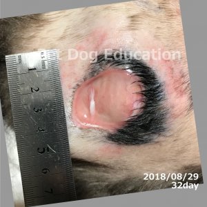 bedsores_20180829_32_k