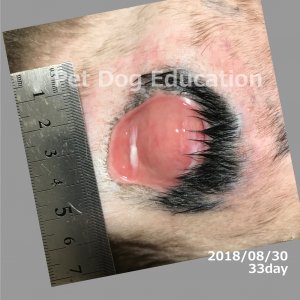 bedsores_20180830_33_k