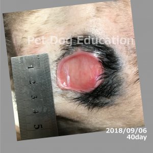 bedsores_20180906_40_k