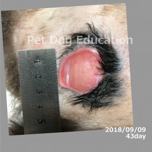 bedsores_20180909_43_k