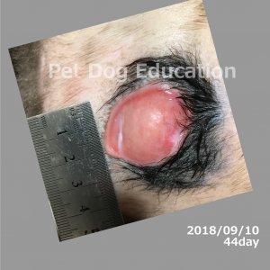 bedsores_20180910_44_k