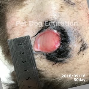 bedsores_20180916_50_k