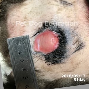 bedsores_20180917_51_k