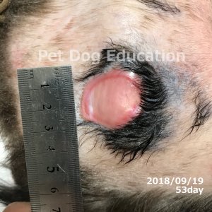 bedsores_20180919_53_k