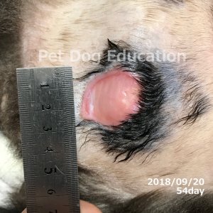 bedsores_20180920_54_k