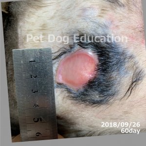 bedsores_20180926_60_k