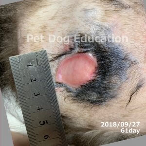 bedsores_20180927_61_k