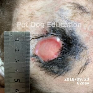 bedsores_20180928_62_k