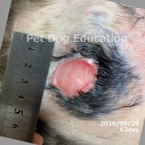 bedsores_20180929_63_k