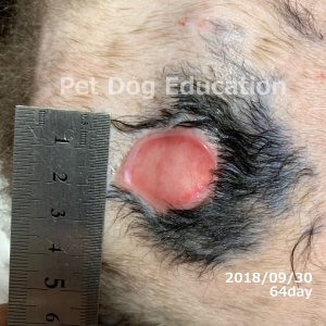 bedsores_20180930_64_k