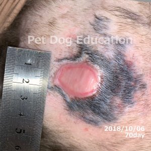 bedsores_20181006_70_k