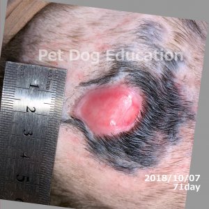 bedsores_20181008_71_k