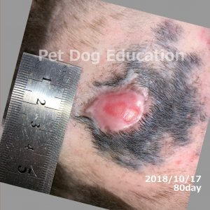 bedsores_20181017_80_k