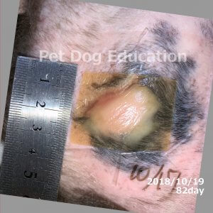 bedsores_20181019_82