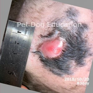 bedsores_20181020_83_k