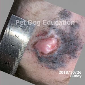 bedsores_20181026_89_k