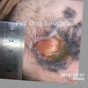 bedsores_20181027_90