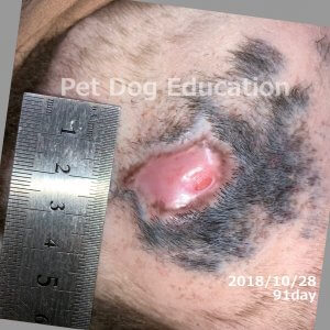 bedsores_20181028_91_k