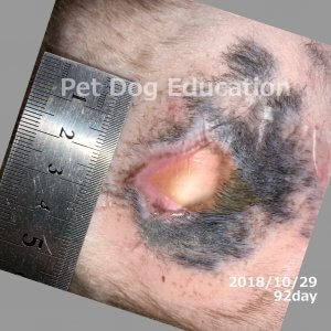 bedsores_20181029_92