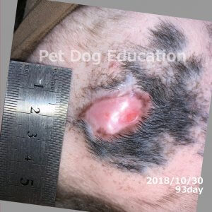 bedsores_20181030_93_k