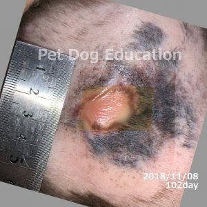 bedsores_20181108_102