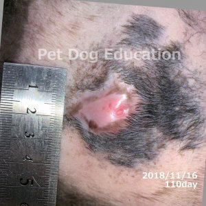 bedsores_20181116_110_k