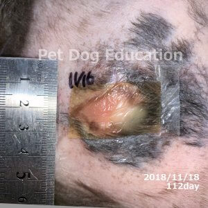 bedsores_20181118_112