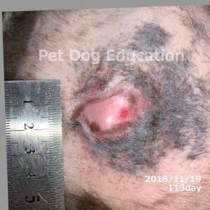 bedsores_20181119_113_k