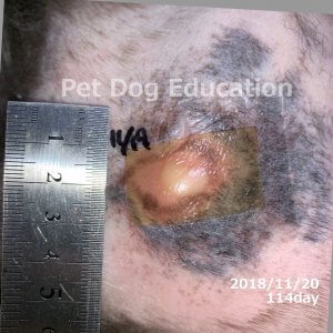 bedsores_20181120_114