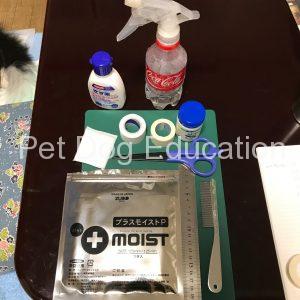 bedsores_PlusMoistP3_dressing